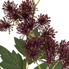 Purple French Meadow Spray